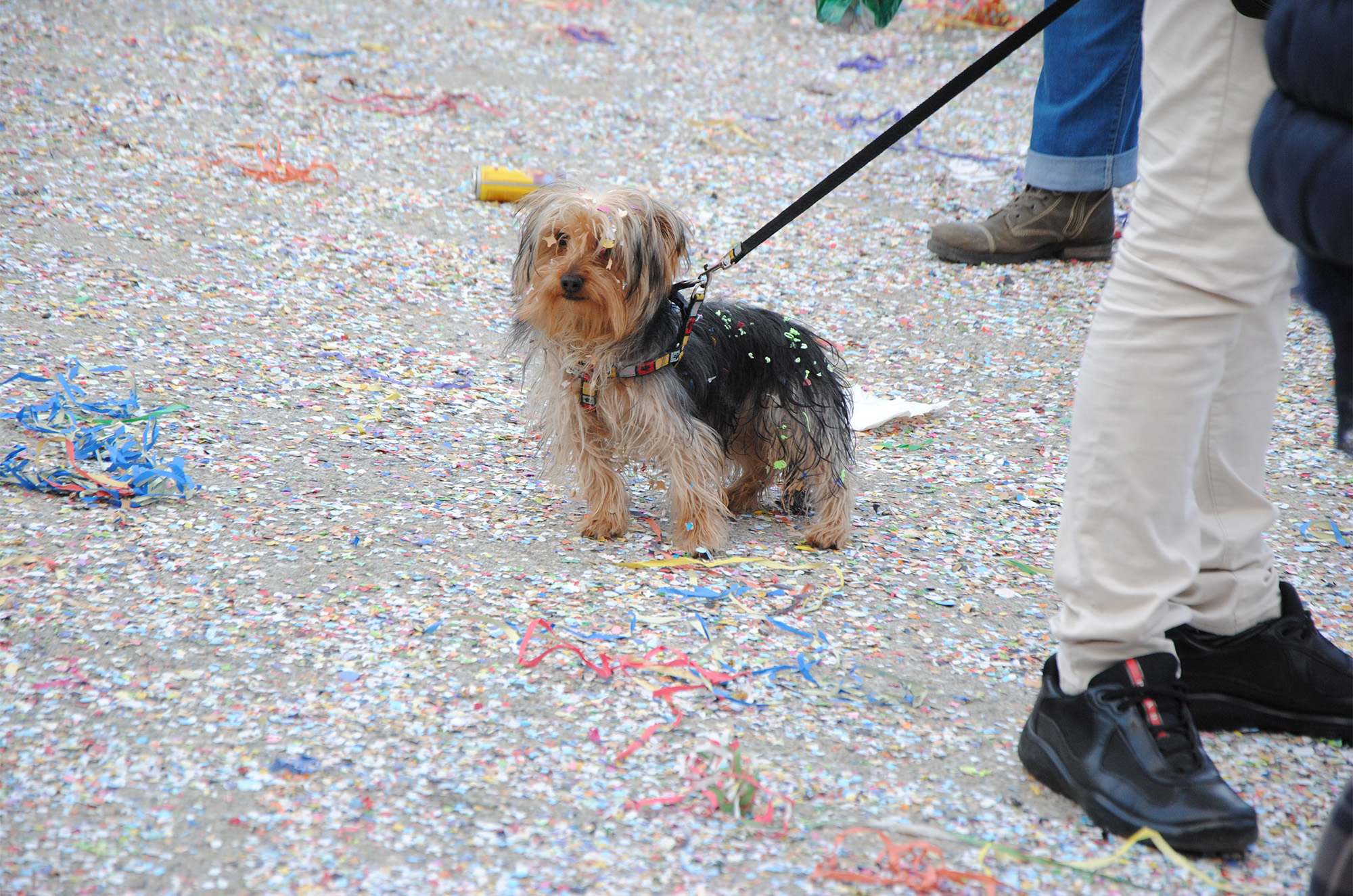 Carnevale di Castagnole delle Lanze